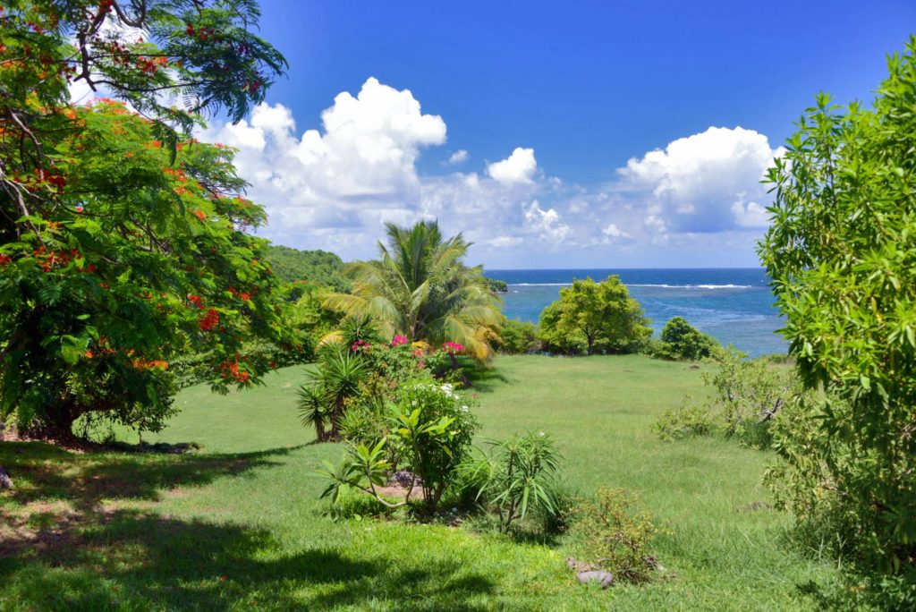 Jardin