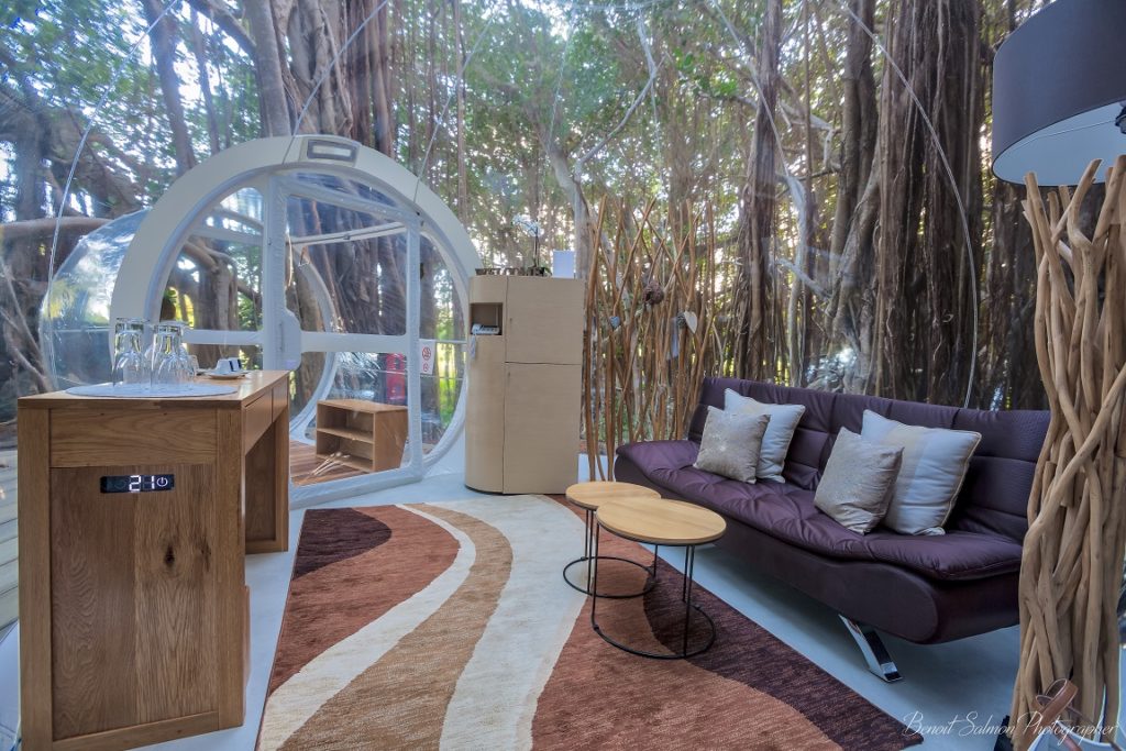 Ile aux Cerfs - Bulle « Banyan Tree »