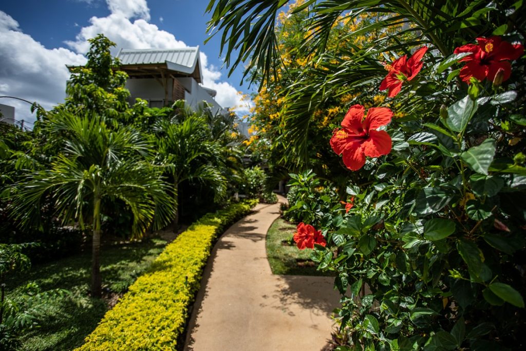 Jardin