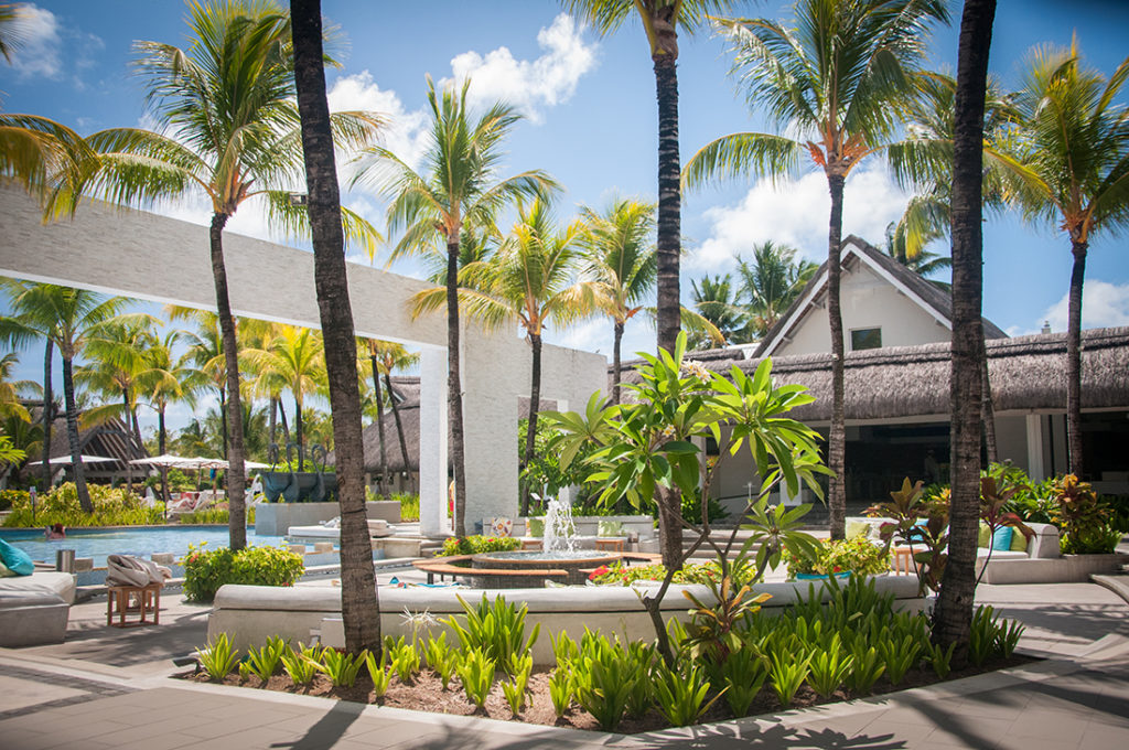 Jardin