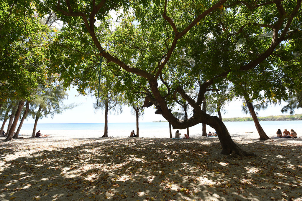 Plage