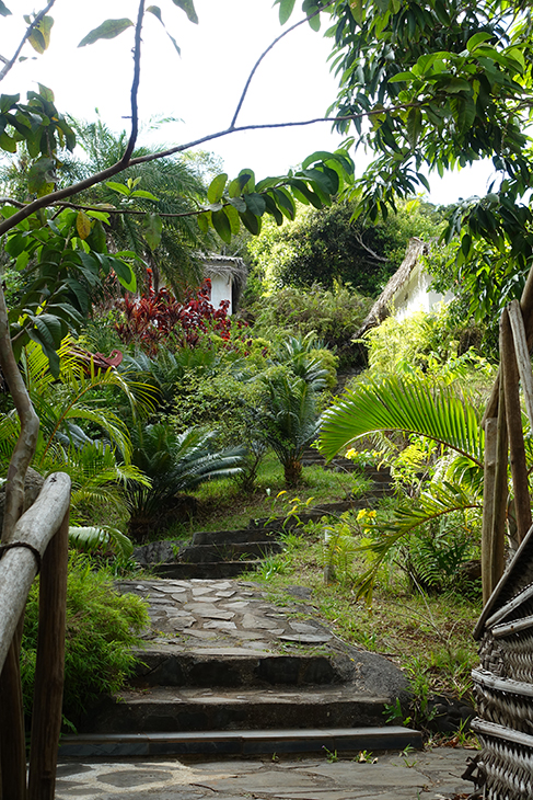 Jardin