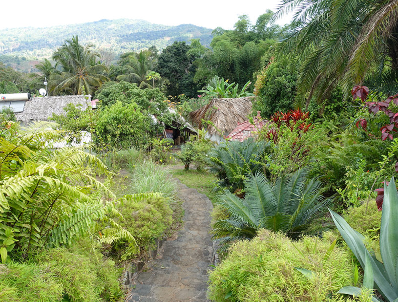 Jardin