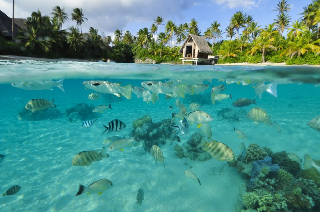 Snorkeling
