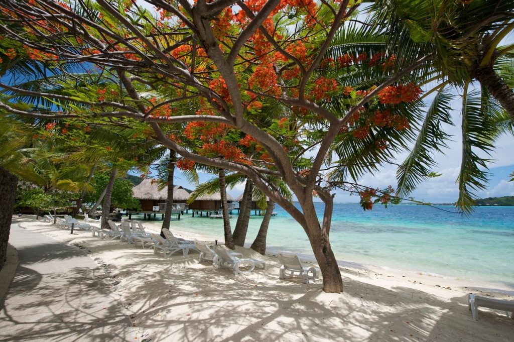 Plage