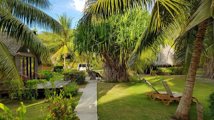 Jardin