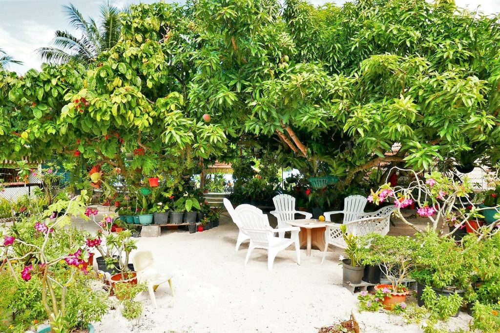 Jardin