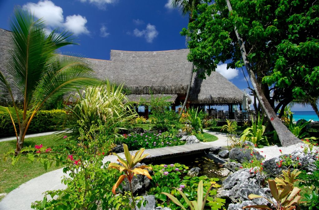 Jardin