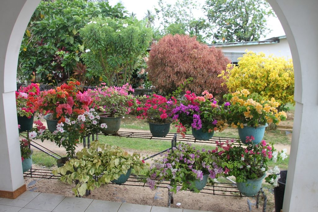 Jardin