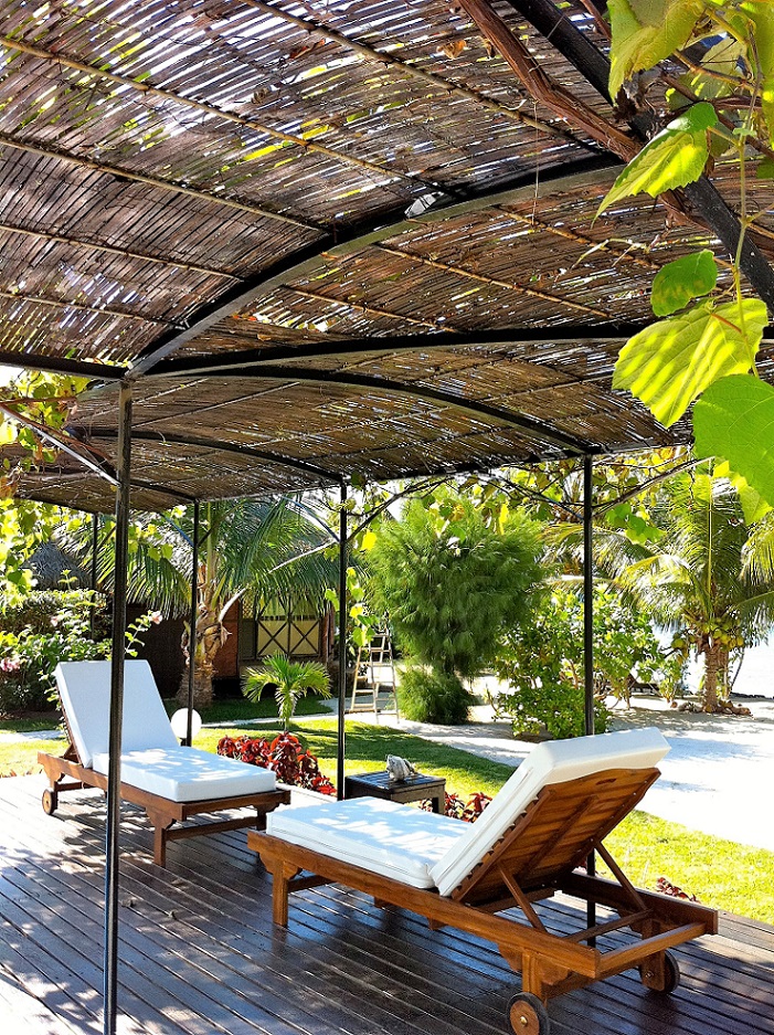 Jardin