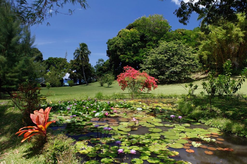 Jardin