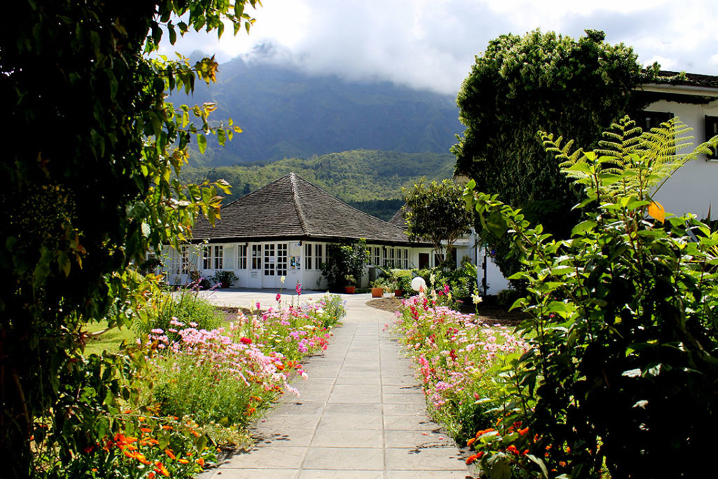 Jardin