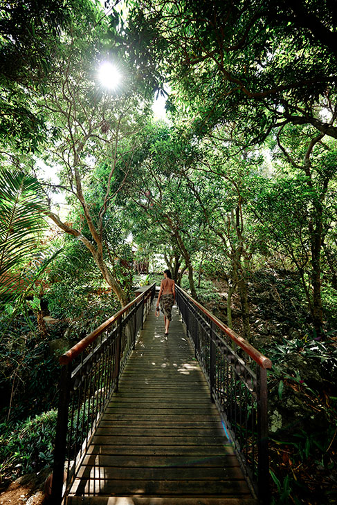 Jardin