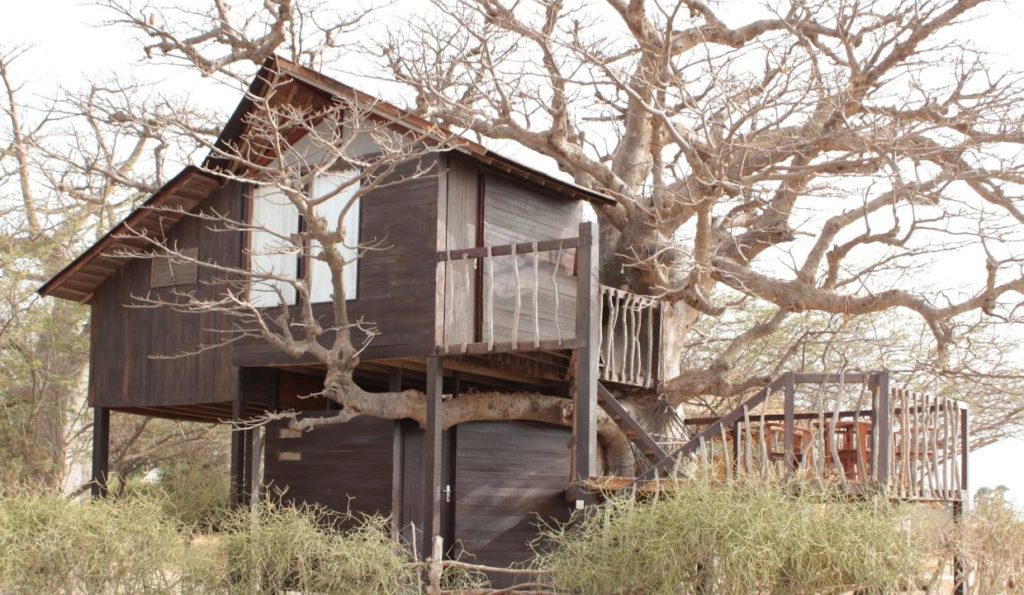 Lodge Baobab
