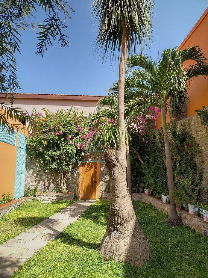 Jardin