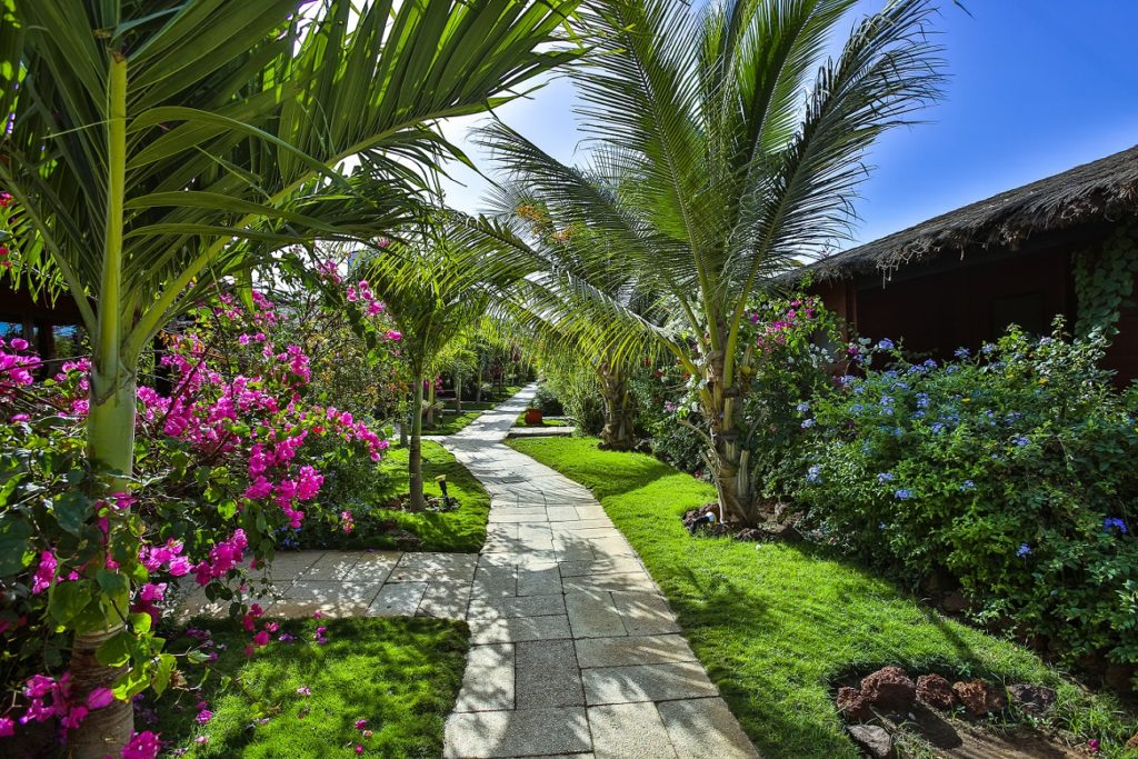 Jardin