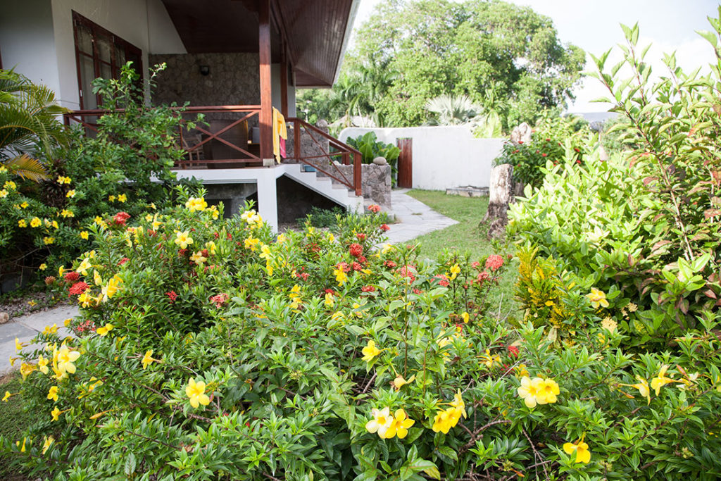 Jardin