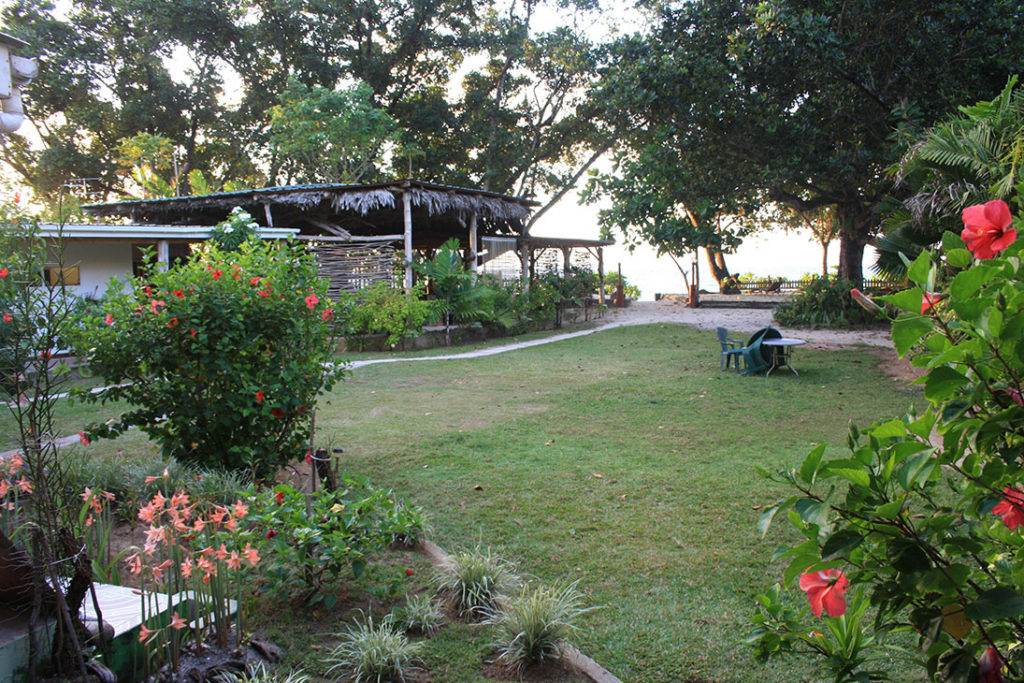 Jardin