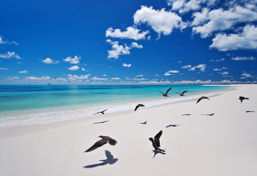 Plage
