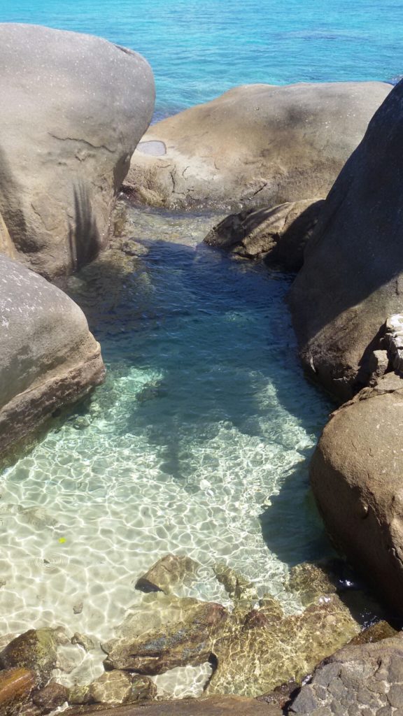 Piscine Naturelle