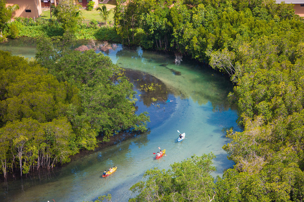 Kayak