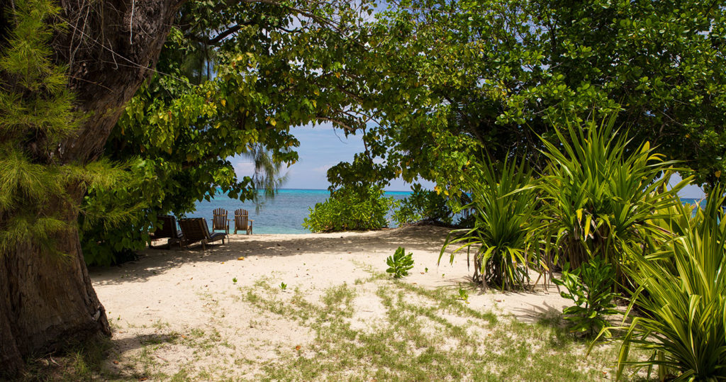Beach Cottage Deluxe