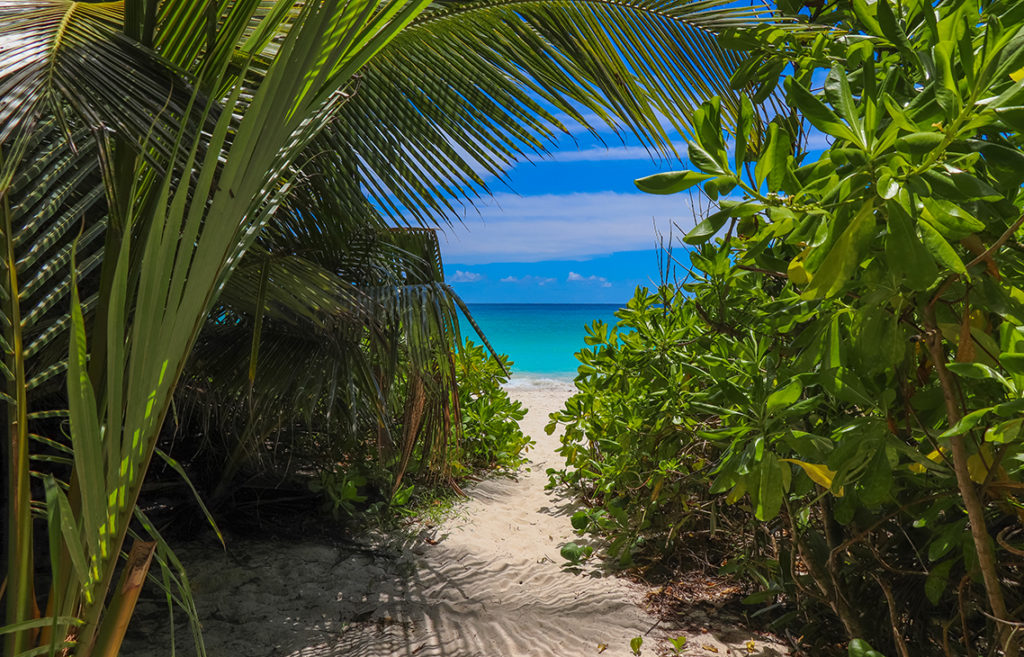 Indalo_Seychelles_Guide_Praslin-Anse Georgette