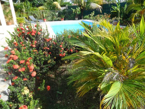 Jardin