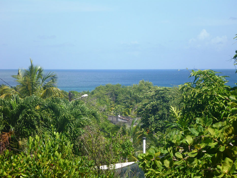 Vue