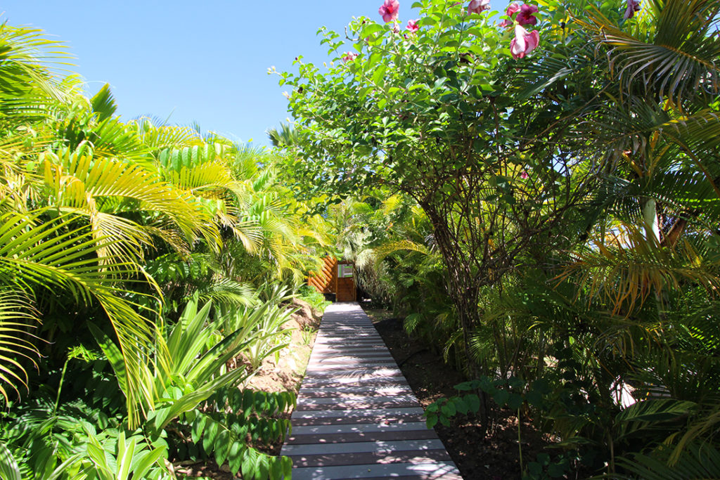 Jardin
