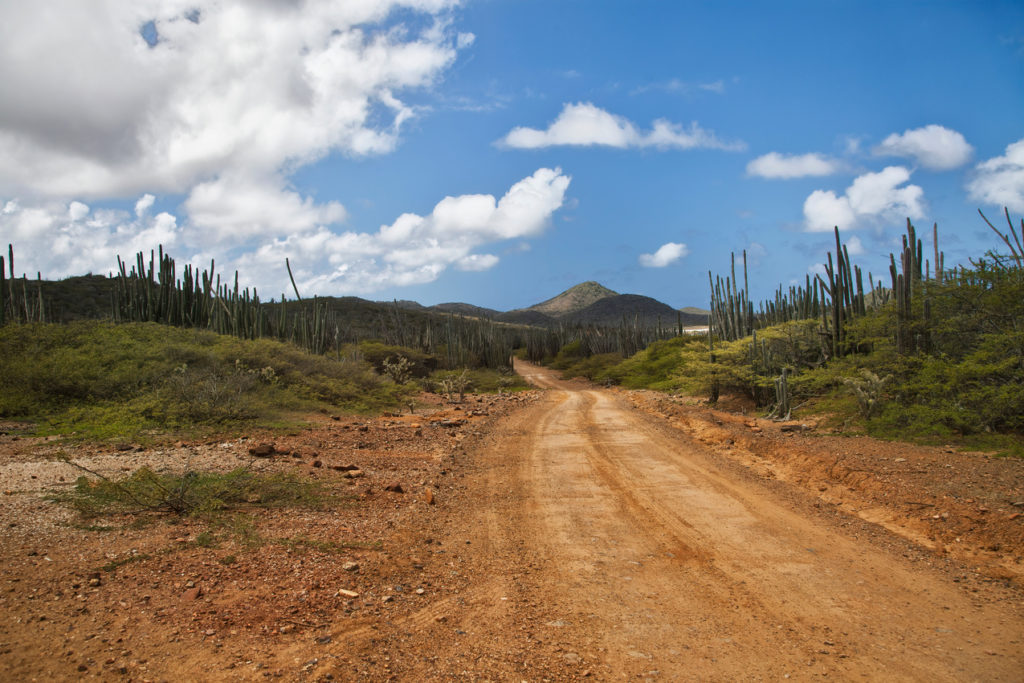 Indalo_Bonaire_Guide_Washington Slagbaai-piste